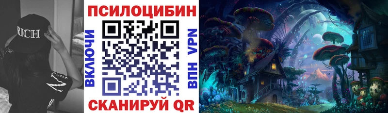 Псилоцибиновые грибы Psilocybine cubensis  Купить  Лебедянь 